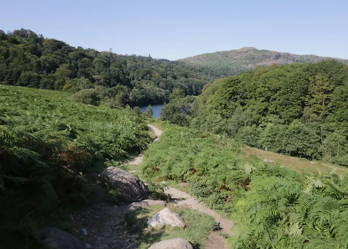 Park View * آمبيلسايد